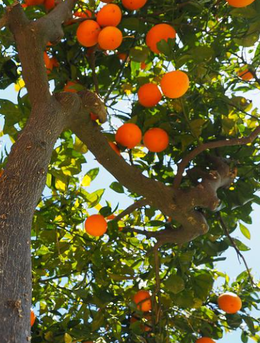 kai云体育app官方下载app最新版本-kai云体育app官方登录入口