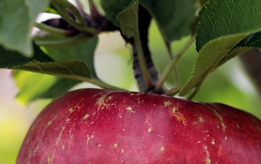 kai云体育app官方下载app最新版本-kai云体育app官方登录入口