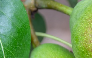 kai云体育app官方下载app最新版本-kai云体育app官方登录入口