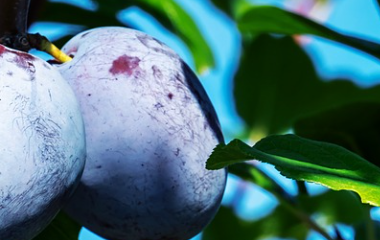 kai云体育app官方下载app最新版本-kai云体育app官方登录入口