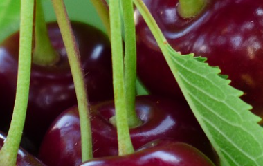 kai云体育app官方下载app最新版本-kai云体育app官方登录入口