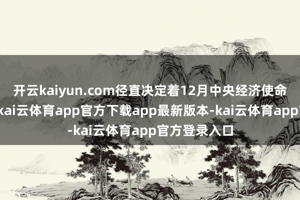 开云kaiyun.com径直决定着12月中央经济使命会议的处所-kai云体育app官方下载app最新版本-kai云体育app官方登录入口