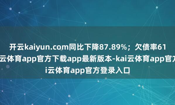 开云kaiyun.com同比下降87.89%；欠债率61.95%-kai云体育app官方下载app最新版本-kai云体育app官方登录入口