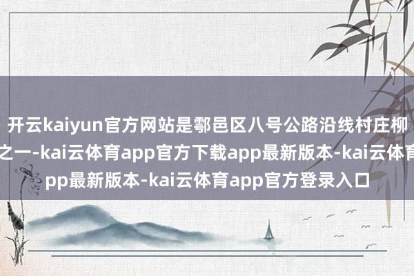 开云kaiyun官方网站是鄠邑区八号公路沿线村庄柳泉口村的撑抓产业之一-kai云体育app官方下载app最新版本-kai云体育app官方登录入口