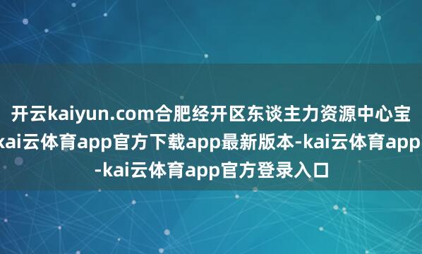 开云kaiyun.com合肥经开区东谈主力资源中心宝石党建引颈-kai云体育app官方下载app最新版本-kai云体育app官方登录入口
