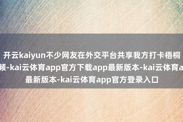 开云kaiyun不少网友在外交平台共享我方打卡梧桐大路的像片和视频-kai云体育app官方下载app最新版本-kai云体育app官方登录入口
